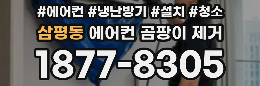 삼평동 에어컨 곰팡이 제거