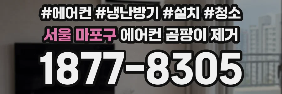 서울 마포구 에어컨 곰팡이 제거