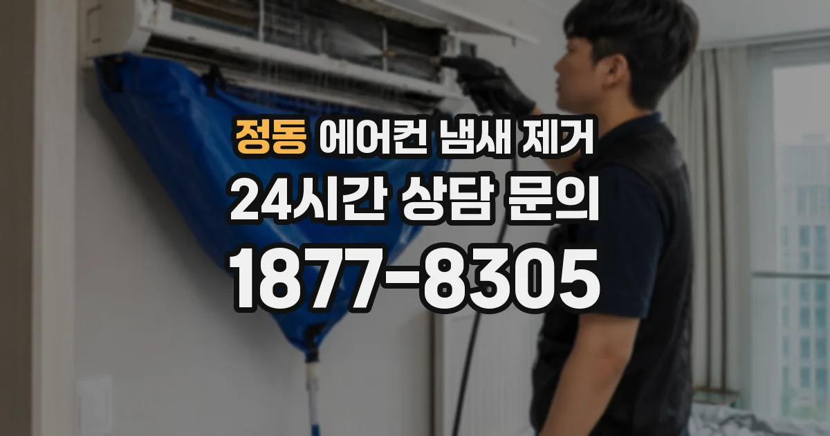 정동 에어컨 냄새 제거