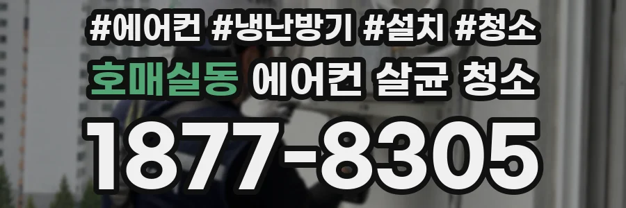 호매실동 에어컨 살균 청소