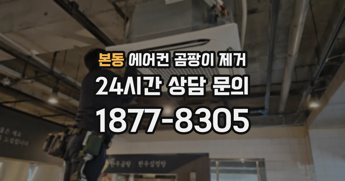 본동 에어컨 곰팡이 제거