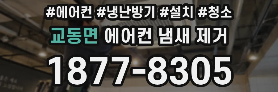 교동면 에어컨 냄새 제거
