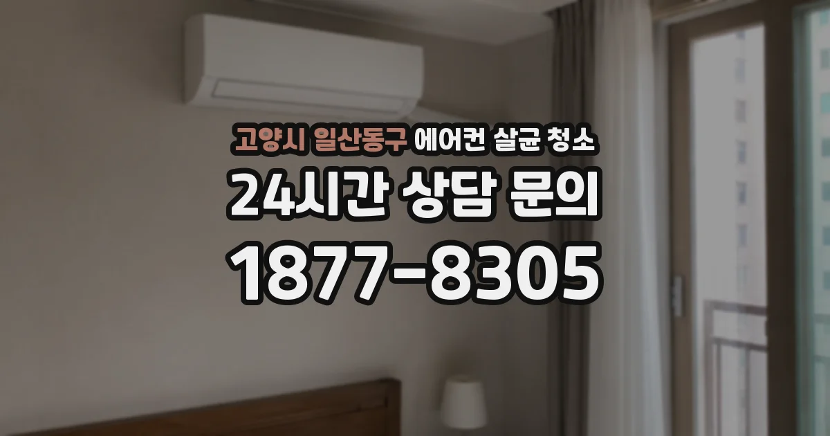 고양시 일산동구 에어컨 살균 청소