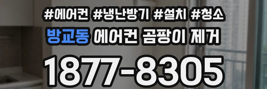 방교동 에어컨 곰팡이 제거