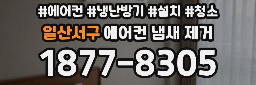 일산서구 에어컨 냄새 제거
