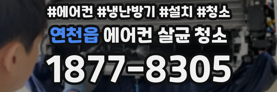 연천읍 에어컨 살균 청소