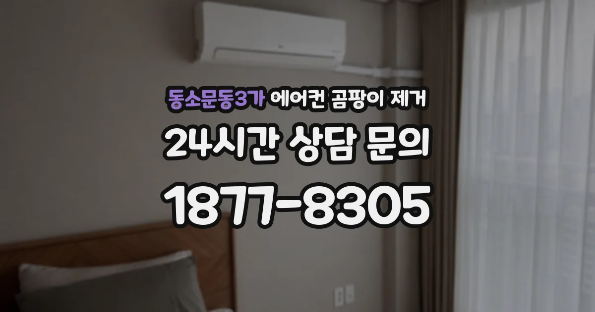 동소문동3가 에어컨 곰팡이 제거