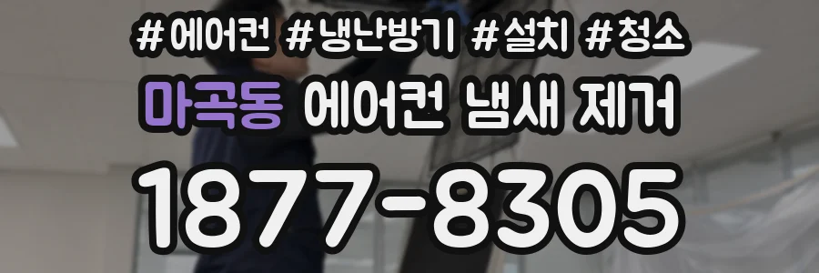 마곡동 에어컨 냄새 제거