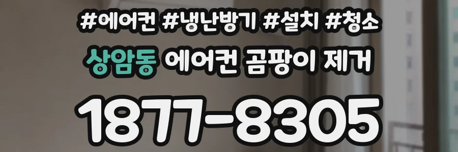 상암동 에어컨 곰팡이 제거