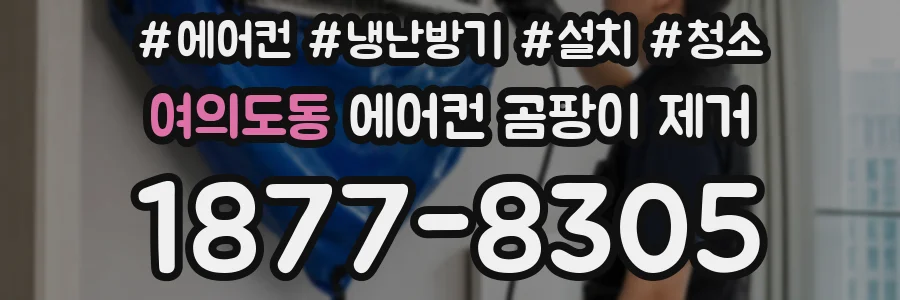 여의도동 에어컨 곰팡이 제거