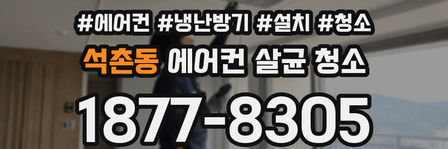 석촌동 에어컨 살균 청소