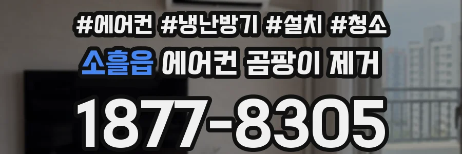 소흘읍 에어컨 곰팡이 제거