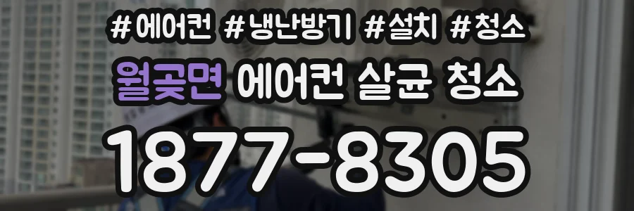 월곶면 에어컨 살균 청소