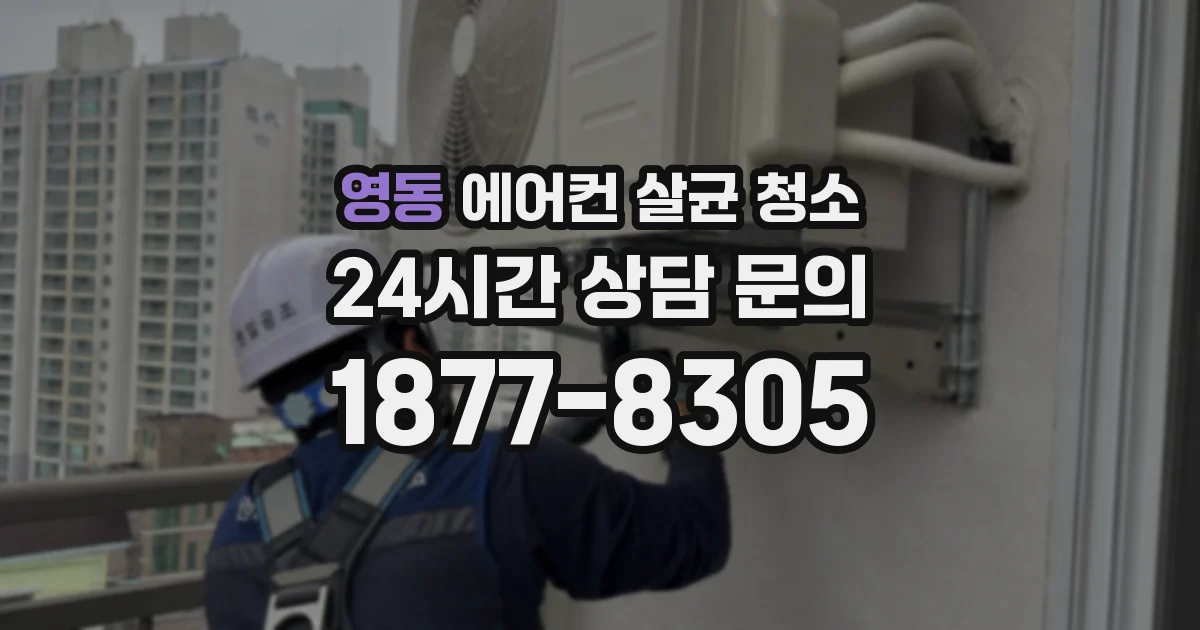 영동 에어컨 살균 청소