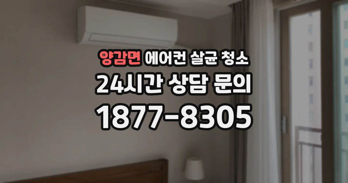 양감면 에어컨 살균 청소