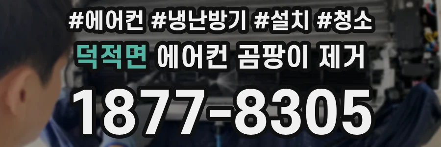 덕적면 에어컨 곰팡이 제거
