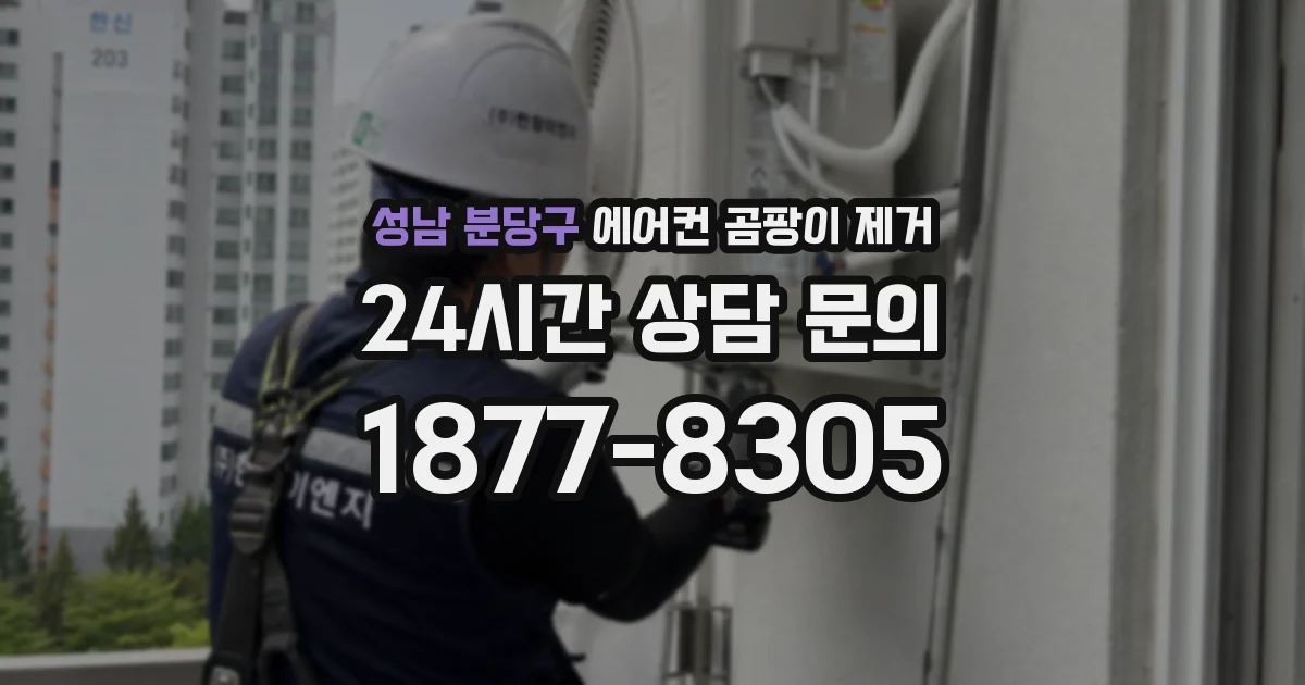 성남 분당구 에어컨 곰팡이 제거