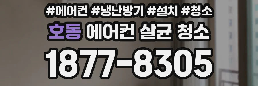 호동 에어컨 살균 청소