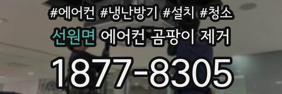 선원면 에어컨 곰팡이 제거