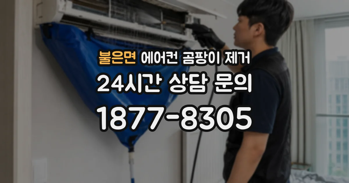불은면 에어컨 곰팡이 제거