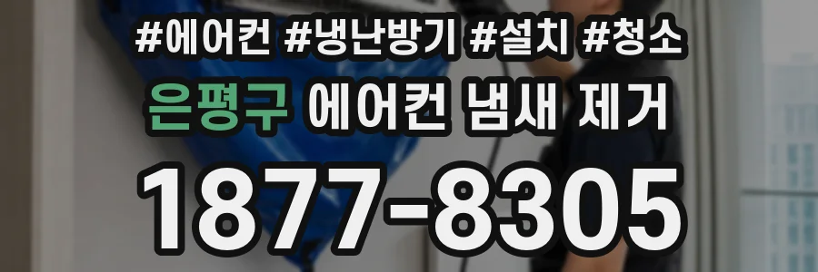 은평구 에어컨 냄새 제거