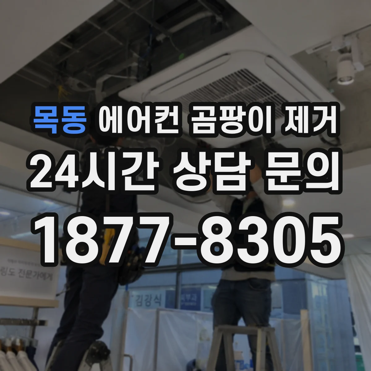 목동 에어컨 곰팡이 제거