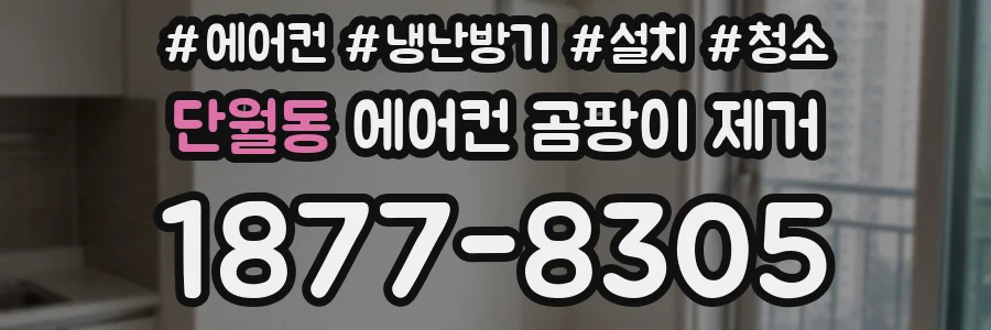 단월동 에어컨 곰팡이 제거