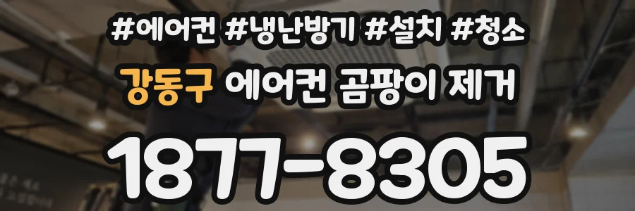 강동구 에어컨 곰팡이 제거