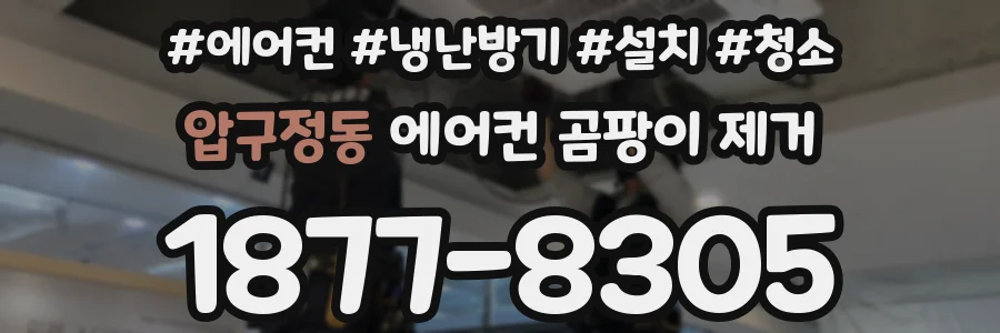압구정동 에어컨 곰팡이 제거
