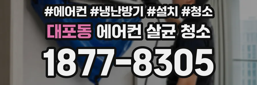 대포동 에어컨 살균 청소