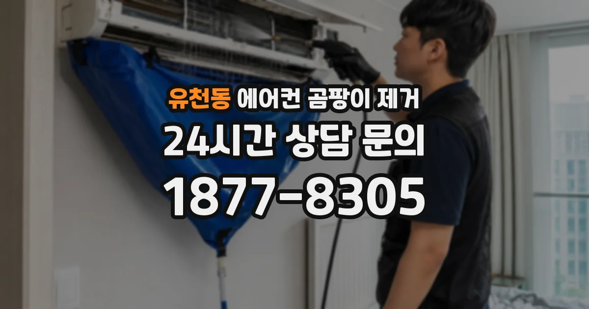 유천동 에어컨 곰팡이 제거