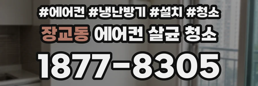 장교동 에어컨 살균 청소