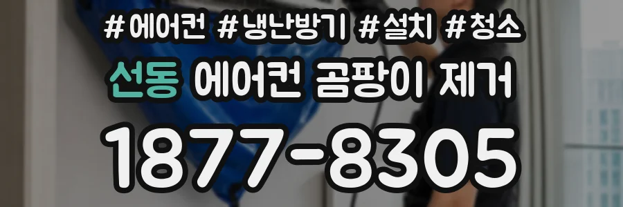 선동 에어컨 곰팡이 제거