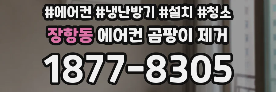장항동 에어컨 곰팡이 제거