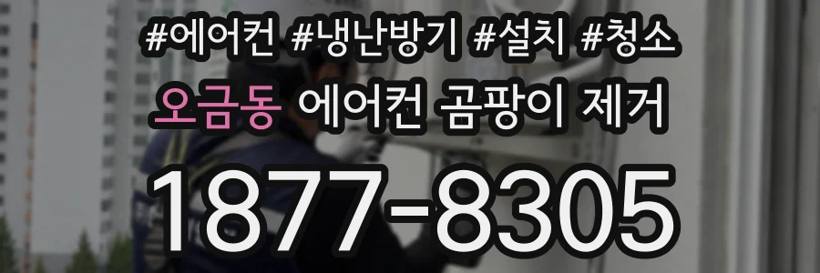 오금동 에어컨 곰팡이 제거