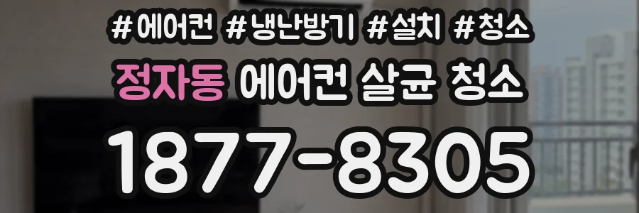 정자동 에어컨 살균 청소