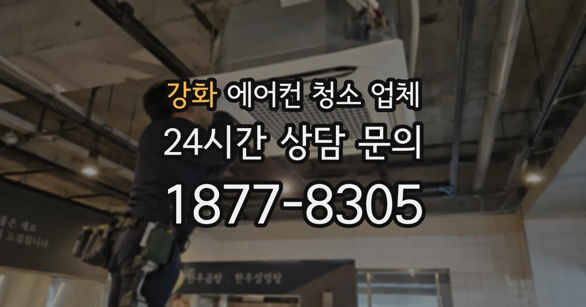 강화 에어컨 청소 업체