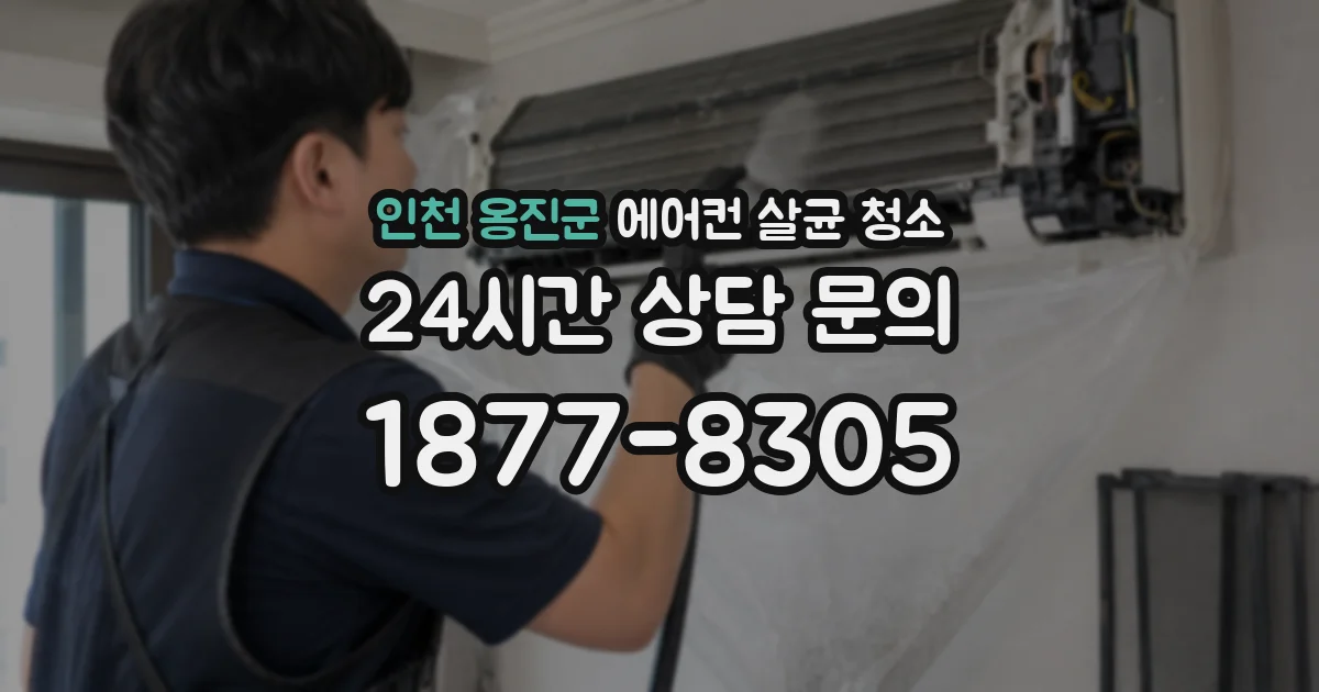인천 옹진군 에어컨 살균 청소