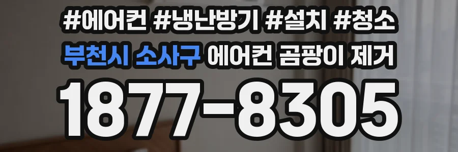 부천시 소사구 에어컨 곰팡이 제거