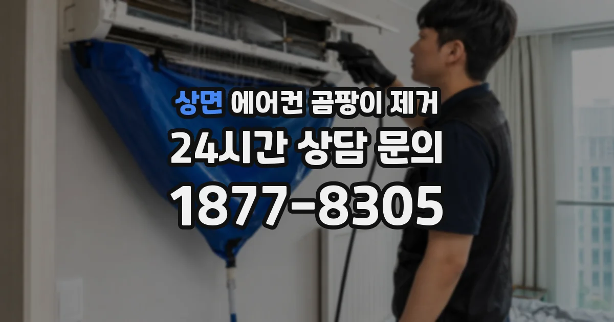 상면 에어컨 곰팡이 제거