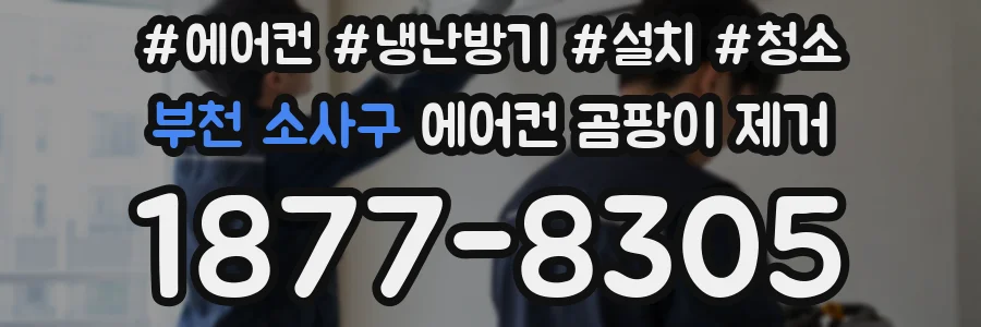 부천 소사구 에어컨 곰팡이 제거