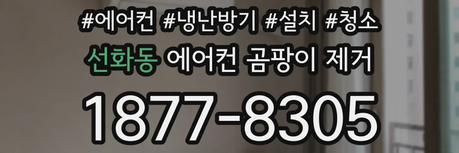 선화동 에어컨 곰팡이 제거