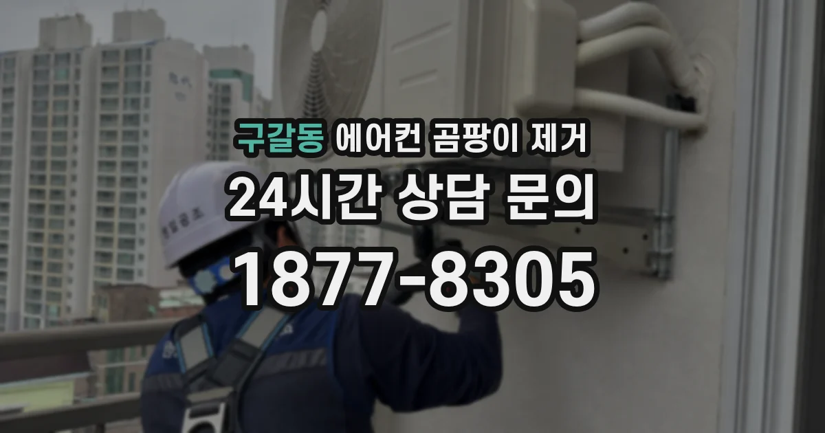 구갈동 에어컨 곰팡이 제거