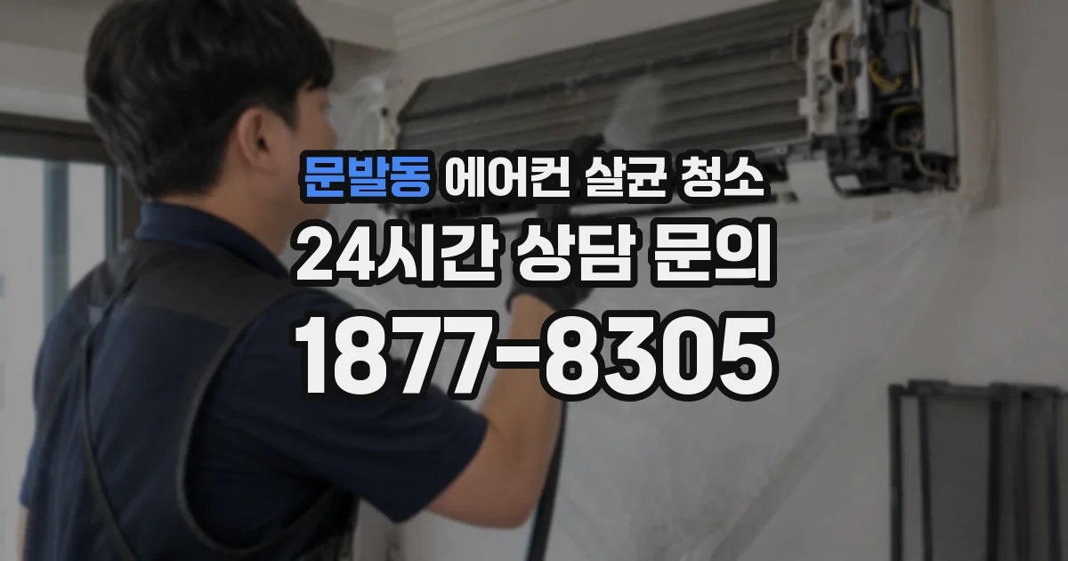 문발동 에어컨 살균 청소