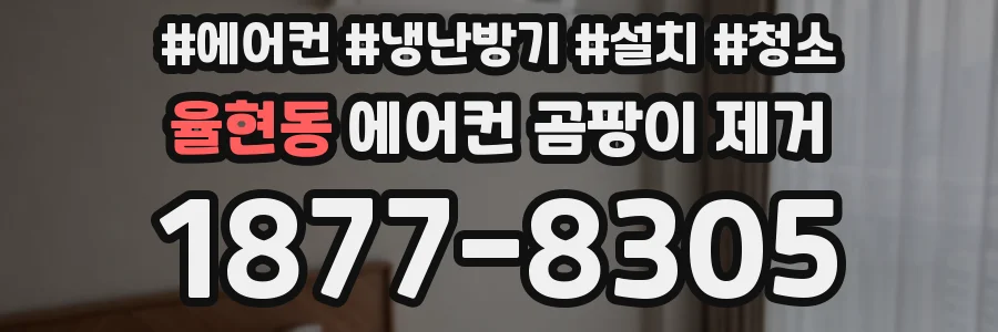 율현동 에어컨 곰팡이 제거