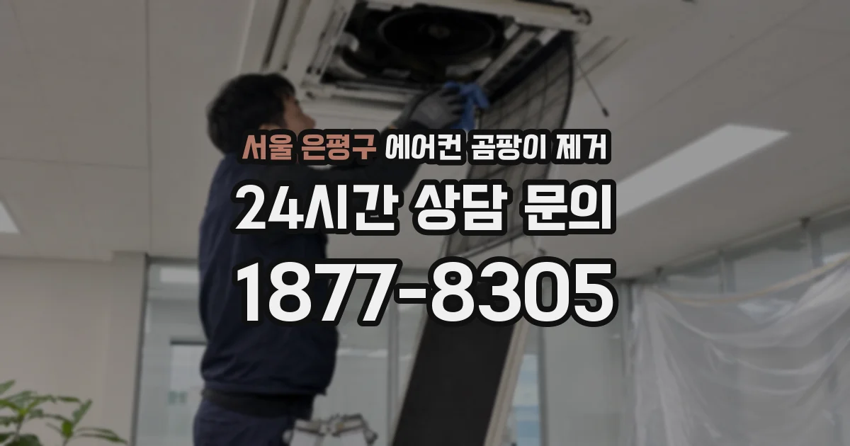 서울 은평구 에어컨 곰팡이 제거