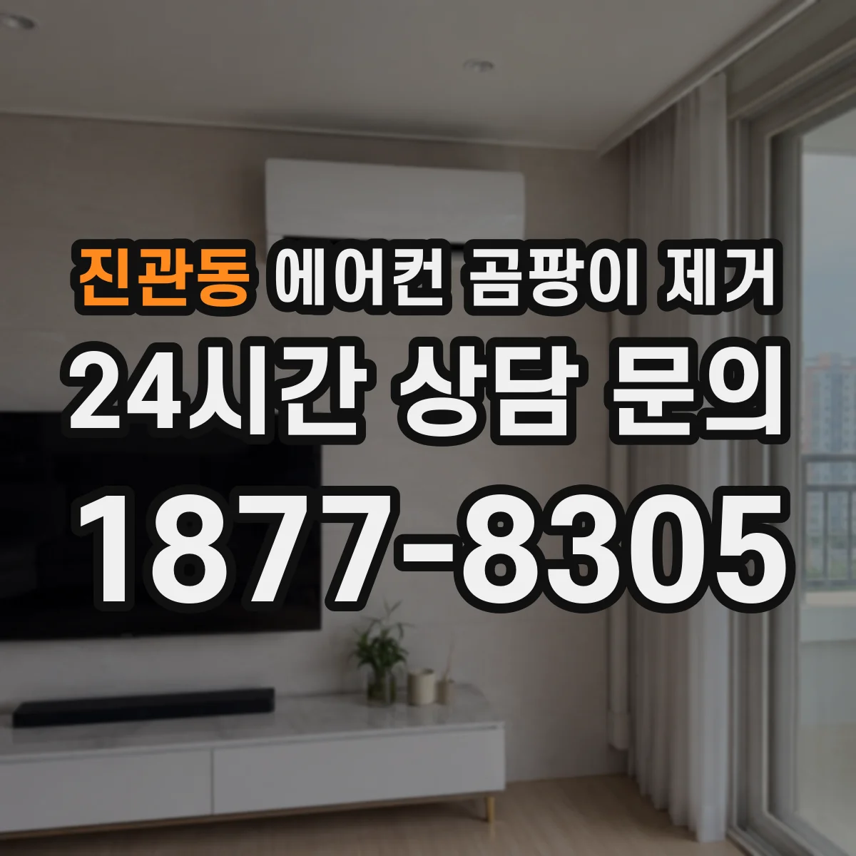 진관동 에어컨 곰팡이 제거