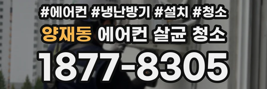 양재동 에어컨 살균 청소