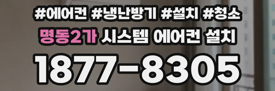 명동2가 시스템 에어컨 설치