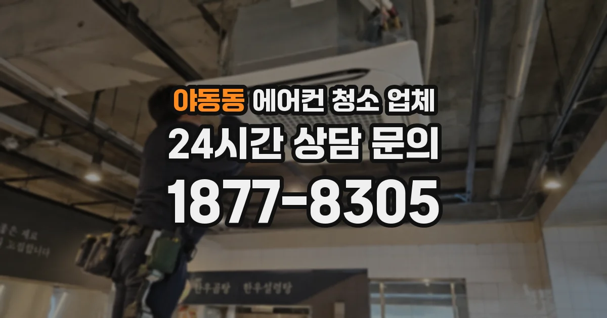 야동동 에어컨 청소 업체